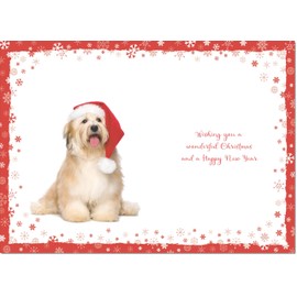 doodlecards Sister in Law Christmas Card Dog with Santa Hat Medium Size Christmas Card for Sister-in-Law with Plain Envelope