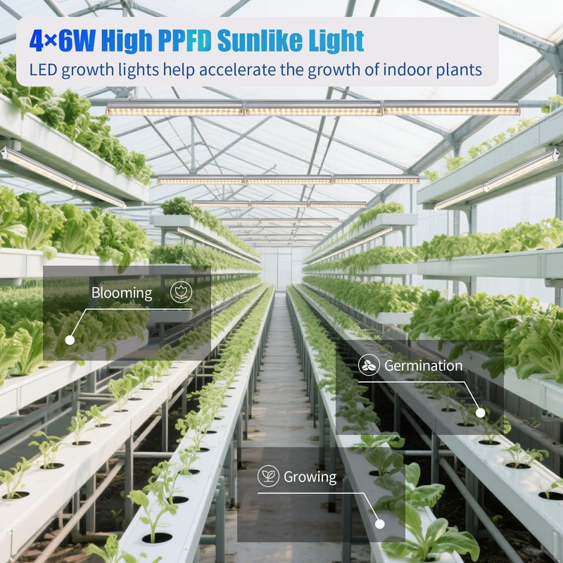 1FT T5 4-Pack Grow Lights for Indoor Plants, 3000K Warm
