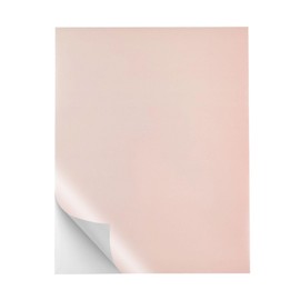 Coolprints Papel Etiqueta Adhesiva uso Foil en Laminadora Tamaño Carta 10 Piezas (Rosa)