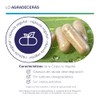 MegaBiotic Enzimas Digestivas Papaína, Bromelin|60 cápsulas|600mg p/porción