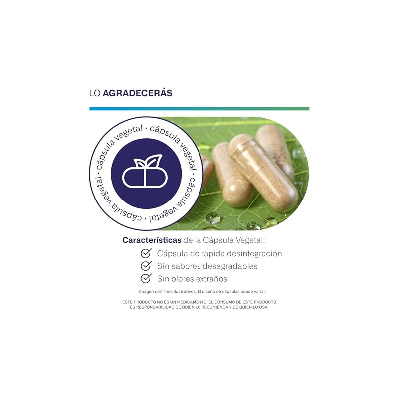 MegaBiotic Enzimas Digestivas Papaína, Bromelin|60 cápsulas|600mg p/porción