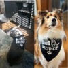 Big Brother - Bandana reversible para perro, diseño triangular, Negro
