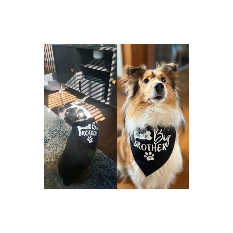 Big Brother - Bandana reversible para perro, diseño triangular, Negro