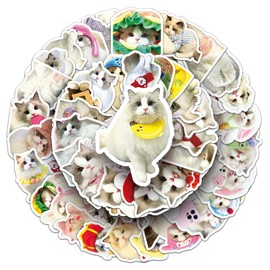 Ragdoll Cat Stickers for Laptop (50 Pieces), Gift for Children, Teenagers, Adults, Boys, Ragdoll Waterproof Vinyl Stickers for Scrapbooking, Skateboard, Car, Luggage