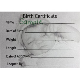 Unbranded BEAUTIFUL Reborn Baby Birth Certificate Card Stock 5x7 ~REBORN DOLL SUPPLIES