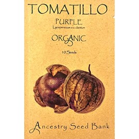 Organic TOMATILLO ❁ Purple (Physalis ixocarpa) ❁ 10 Seeds Heirloom - Non GMO