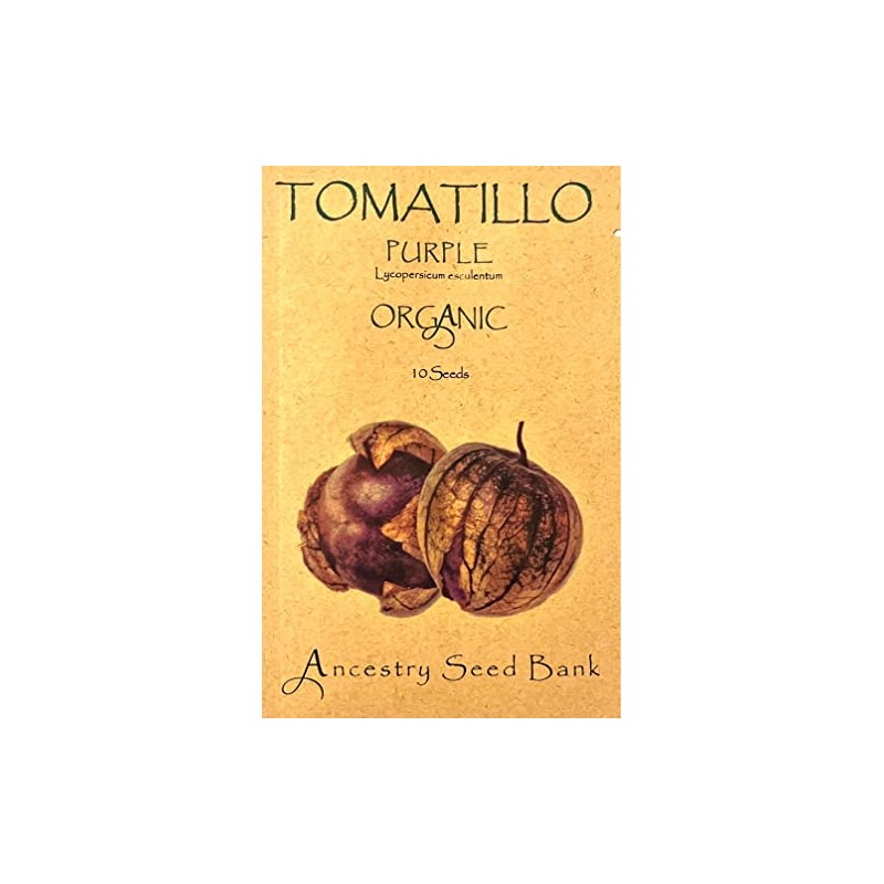 Organic TOMATILLO ❁ Purple (Physalis ixocarpa) ❁ 10 Seeds Heirloom