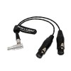 XLR Breakout Audio Input Cable Right Angle 10 pin to