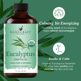 Handcraft Blends Organic Eucalyptus Essential Oil – 1 Fl Oz – 100% Pure and Natural – Premium Grade Essential Oil for Diffuser and Aromatherapy
