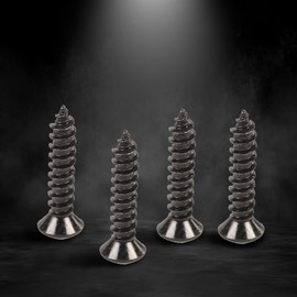 G-PLUS Bumper Tail Lamp Tail Light Lens Screw Compatible with 2005-2013 C6 Corvette 4pcs Stainless Steel Taillight Security Screws