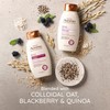 OGX Aveeno Color Protect Strengthen+ Blackberry Quinoa Shampoo, Fresh, 12
