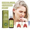Googeer Herbal Respiratory Mist 30ml - Quercetin & Nasturtium Formula