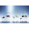 Schott Zwiesel Tritan Crystal Glass Diva Stemware Collection Claret/Bordeaux Goblet,