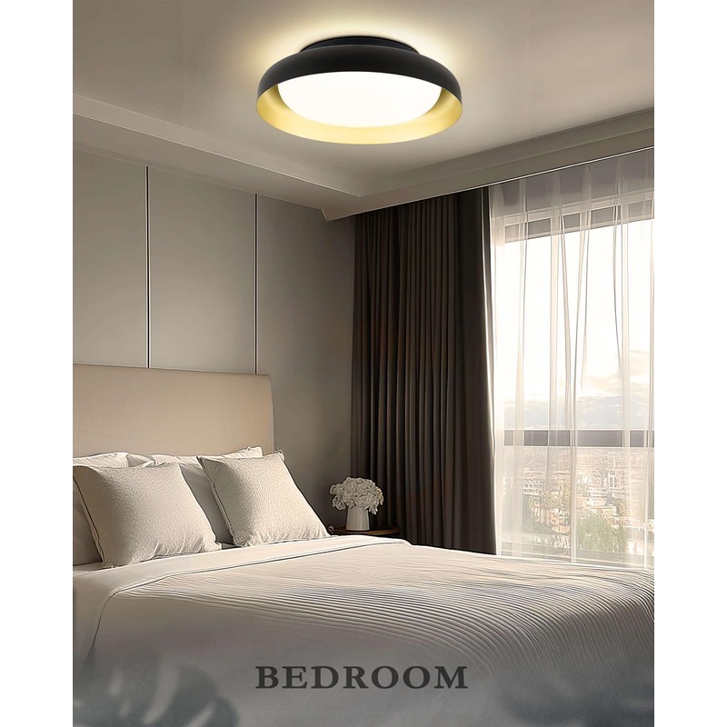 Ken & Ricky Flush Mount Ceiling Light with Remote,Black and
