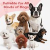 Kazazoo Dog Collar Cute and Soft Nylon Puppy Collar for