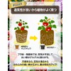 FORESIA 5 Pack 7 Gallon Nonwoven Planter Veranda Cultivation Nonwoven