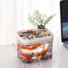 Niwugady Aquarium with Lid, Transparent Aquarium with USB Air Pump,