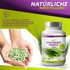 Vita2You Organic Barley Grass Capsules - 360 Capsules - 3000