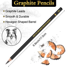 Humyoun 288 Pcs Professional Drawing Sketching Pencil Set Graphite Pencils Set (12B - 4H) Sketch Pencils Bulk Drawing Pencils for Artists Beginners Pro Artists for Drawing Art, Sketching, Shading