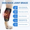 Dog Leg Braces for Back Leg, Dog Knee Brace for