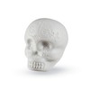 LP LP006GLO Sugar Skull Shaker Glow Fluorescent Suger Skull Shaker