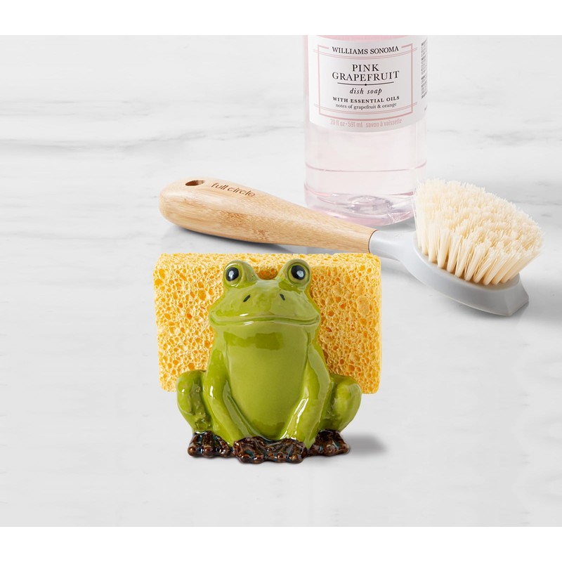 dgudgu Frog Sponge Holder for Kitchen Sink Cute Kitchen Sponge