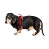 BUDDY BELT Arnés Pebble Grain Negro - Edición Premium (4)