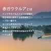 【リプサ公式】 赤ガウクルア 約1か月分×3袋 C-182-3 亜鉛 国内製造