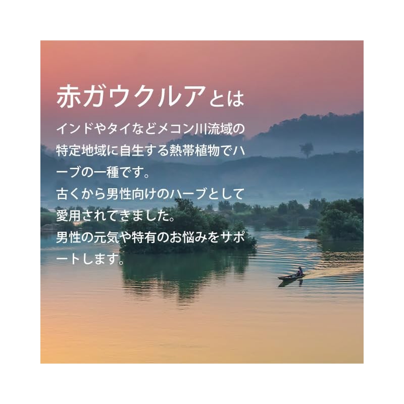 【リプサ公式】 赤ガウクルア 約1か月分×3袋 C-182-3 亜鉛 国内製造