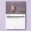 2025 British Birds Wall Calendar Featuring Stunning Photography of Birds