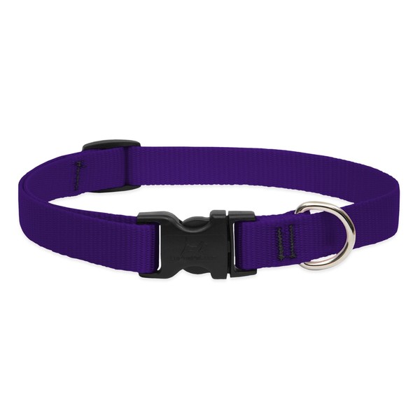 LupinePet Basics 3/4" Purple 9-14" Adjustable Collar for Small Dogs