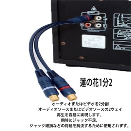 2 RCA Male to 2RCA Female Splitter Cable 20cm Video Audio Y Audio Cable Mono to Stereo