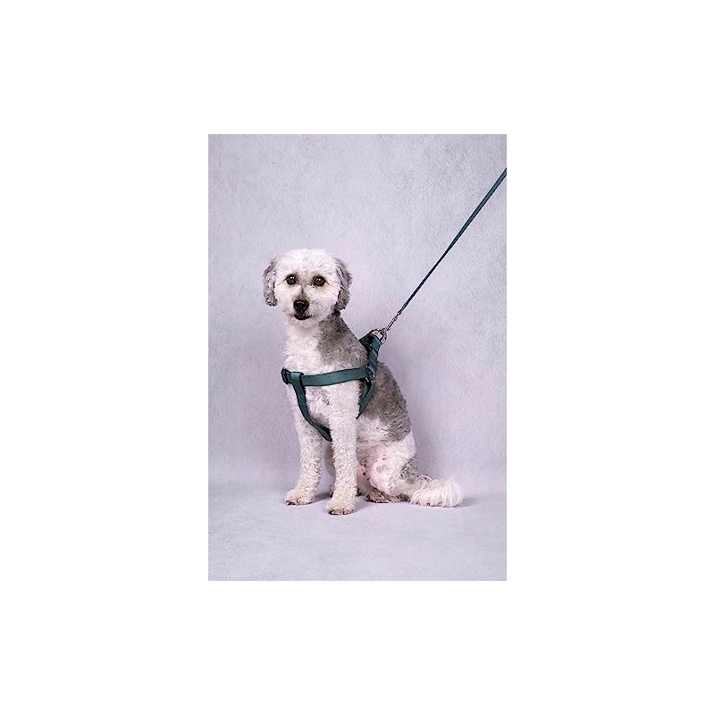 Step&Go Ziggi Harness Dark Green S 25-45 cm 15 mm