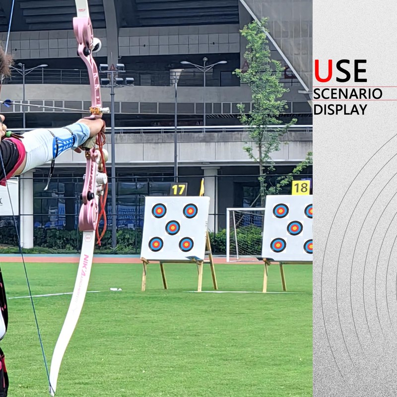 20 Sheets Bullseye Archery Target,Standard Archery Shooting Targets Paper 10