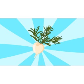 Organic Black Red Yellow Maca Root Capsules 150 Pills for Women & Men from Peru