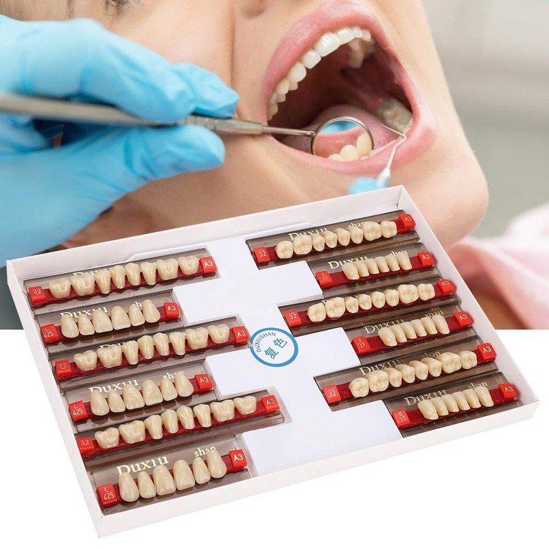 Resin Tooth Acrylic Resin Denture Teeth Dental Resin False Teeth