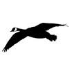 Goose Turning in Hunters Goose Decal Goose Hunting Decal 2017