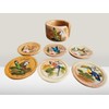 Tapanti store. Costa Rican Fauna Wooden Coasters Set of 6