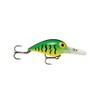 Wiggle Wart AV74 Hot Tiger