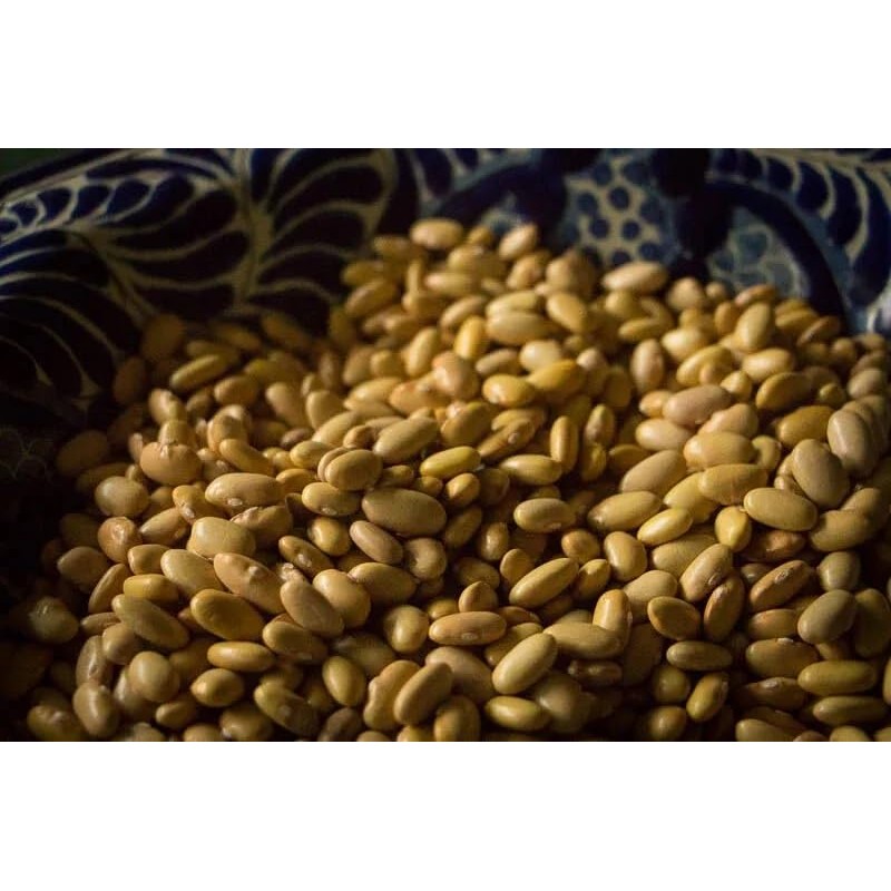 Mayocoba Peruano Dry Beans Frijoles | Bulk (6 Pounds)
