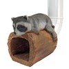 RAIDER THE RACCOON GUTTER GUARDIAN