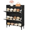 MAHANCRIS Shoe Storage Cabinet, Shoe Organizer with 2 Flip Drawers,