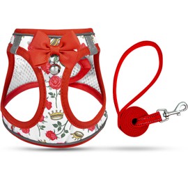 SALFSE Cat Harness and Leash Escape Proof for Walking, Adjustable Soft Kitten Harness with Reflective Straps Step in Cat Vest Harness for Small Kitten and XS Dogs (Red, XXS-Chest(8.7"-10.2"))