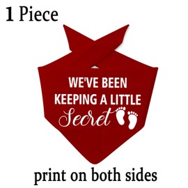 JXGZSO 1 Piece We Have Been Keeping A Little Secret Dog Bandana New Baby Announcement Gift Pregnancy Announcement Gift (Little Secret Dog CA)