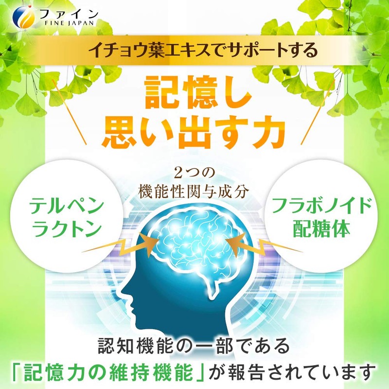 FINE JAPAN Food with Functional Display Ginkgo Biloba Extract Granules
