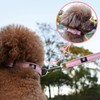 NESTROAD Dog Collar, Adjustable, Night Reflective, For Small, Medium, Large