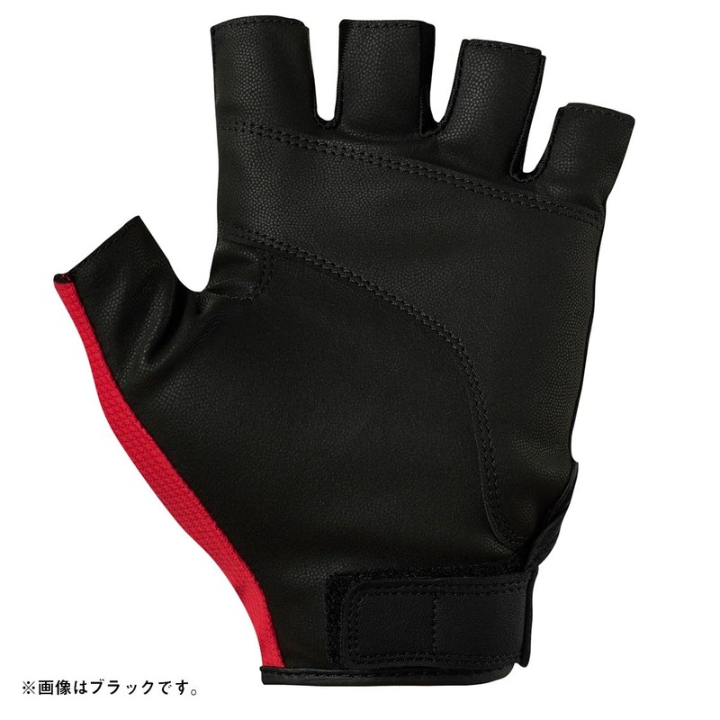 Daiwa 25DG-6525 Absorbent Quick-Drying Gloves, 5-Piece Cut, Black, XS