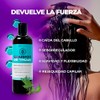 Shampoo Natural de Thuja y Árnica | Fortalece la Raíz,