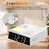 Multi-Functional Sleep Sound Machine with Clock, 41 Built-in Soothing White