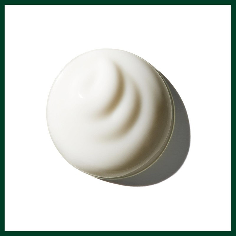 Aveda Brilliant Universal Styling Creme | Defines Texture | Seals